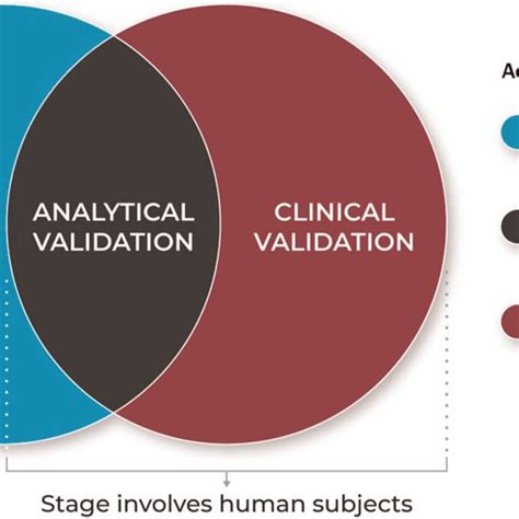 The Role of Validators
